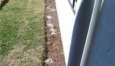 MVP_Termite_Barriers_Drill_Inject_01